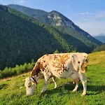 Casa Muchia Lui Girnita Vakantiehuis