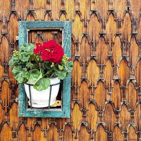 Ferienhaus Casa Muchia Lui Girnita