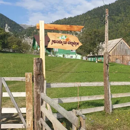 Casa Muchia Lui Girnita Дом отдыха *