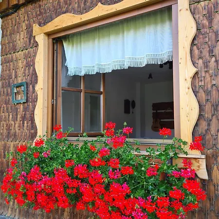 Casa Muchia Lui Gîrniță Case de vacanță *