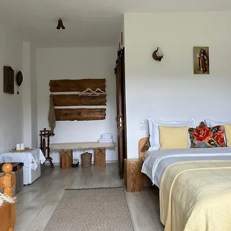 Будинок відпочинку Casa Muchia Lui Girnita *
