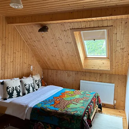 Casa Muchia Lui Girnita Будинок відпочинку Брашов