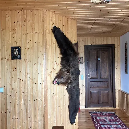 Casa Muchia Lui Girnita * Μπρασόβ