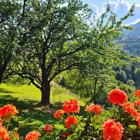 Casa Muchia Lui Gîrniță