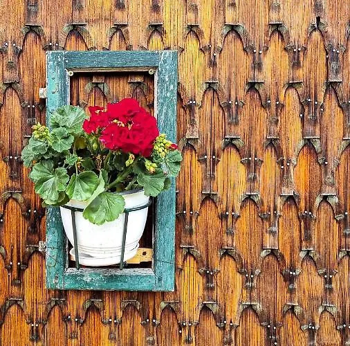 Дом отдыха Casa Muchia Lui Girnita