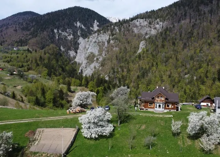 Casa Muchia Lui Girnita Дом отдыха Брашов