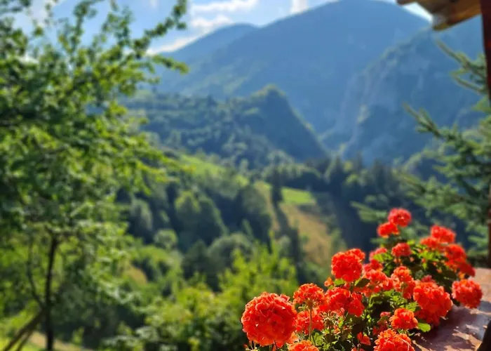 Дом отдыха Casa Muchia Lui Girnita