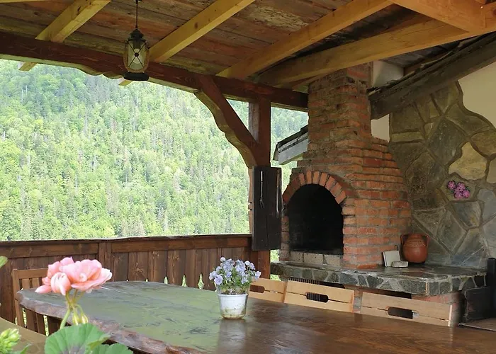 Holiday home Casa Muchia Lui Girnita *