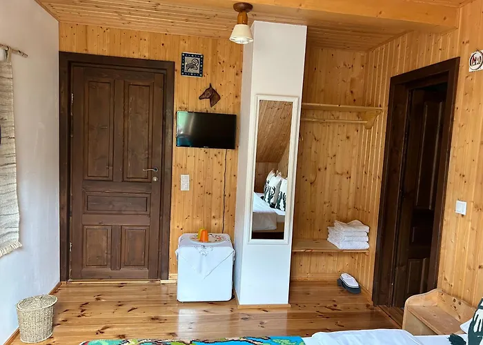 Σπίτι διακοπών Casa Muchia Lui Girnita