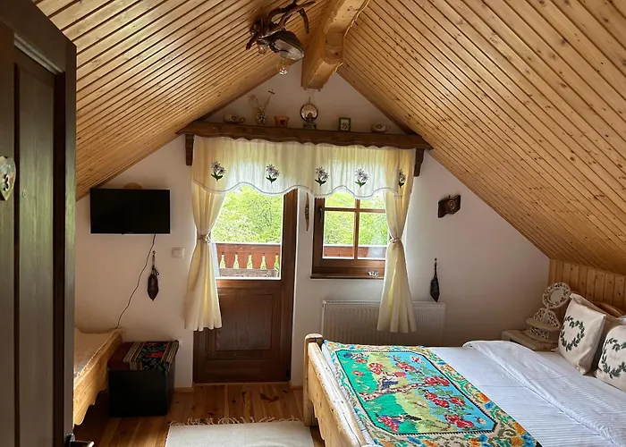 Casa Muchia Lui Girnita Брашов