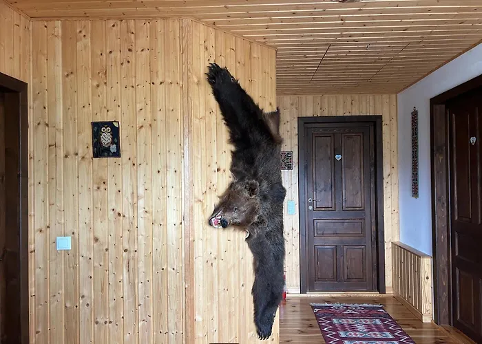 Casa Muchia Lui Girnita * Brasov